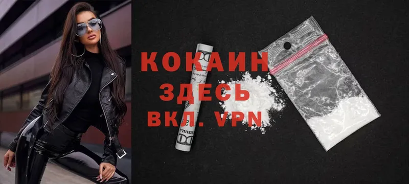 где найти   Белая Холуница  Cocaine Колумбийский 